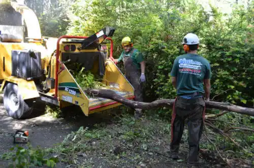 tree services Lake Quivira